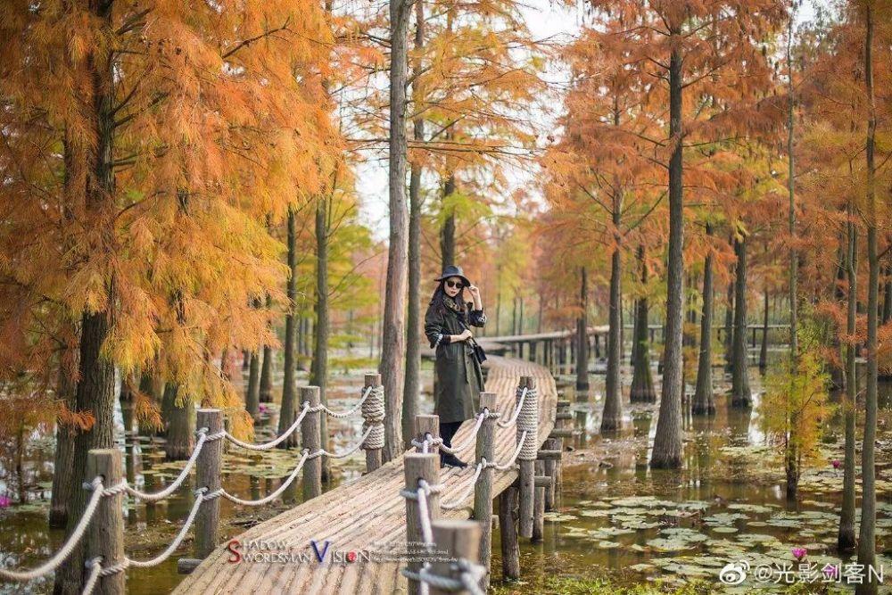 中秋节的诗有哪些?游戏画面