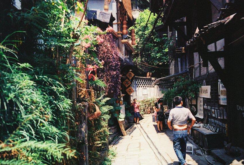 拯救昆虫群